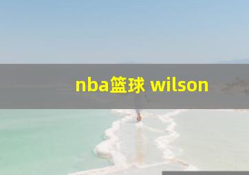 nba篮球 wilson